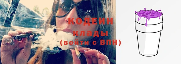 ГАЛЛЮЦИНОГЕННЫЕ ГРИБЫ Арсеньев